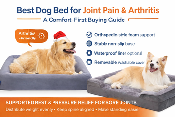 Best Dog Bed for Joint Pain &amp; Arthritis