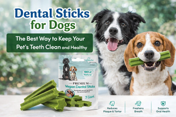 Dental Sticks for Dogs: The Best Way to Keep Your Pet’s Teeth Clean and Healthy