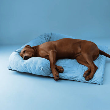 Dog beds, Cooling mats