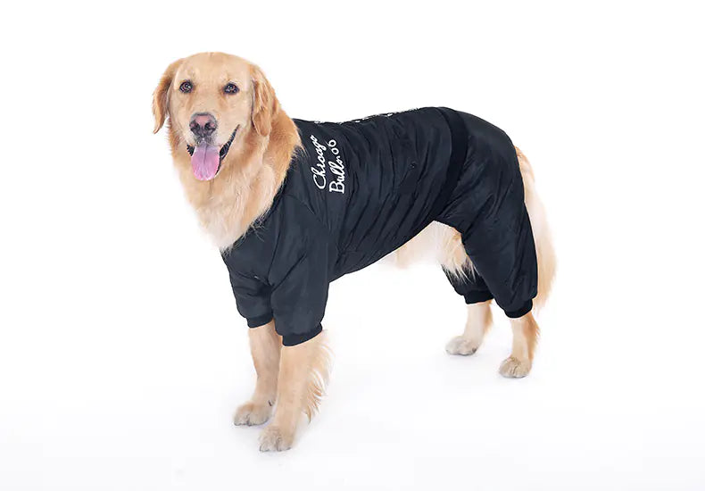 Dog Apparel for Small Breeds - Autumn/Winter Outfit