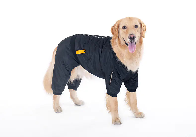 Dog Apparel for Small Breeds - Autumn/Winter Outfit
