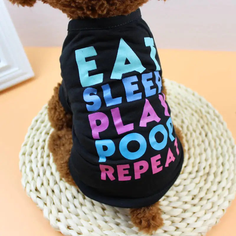 Dog wearing a black shirt with colorful text on a woven mat