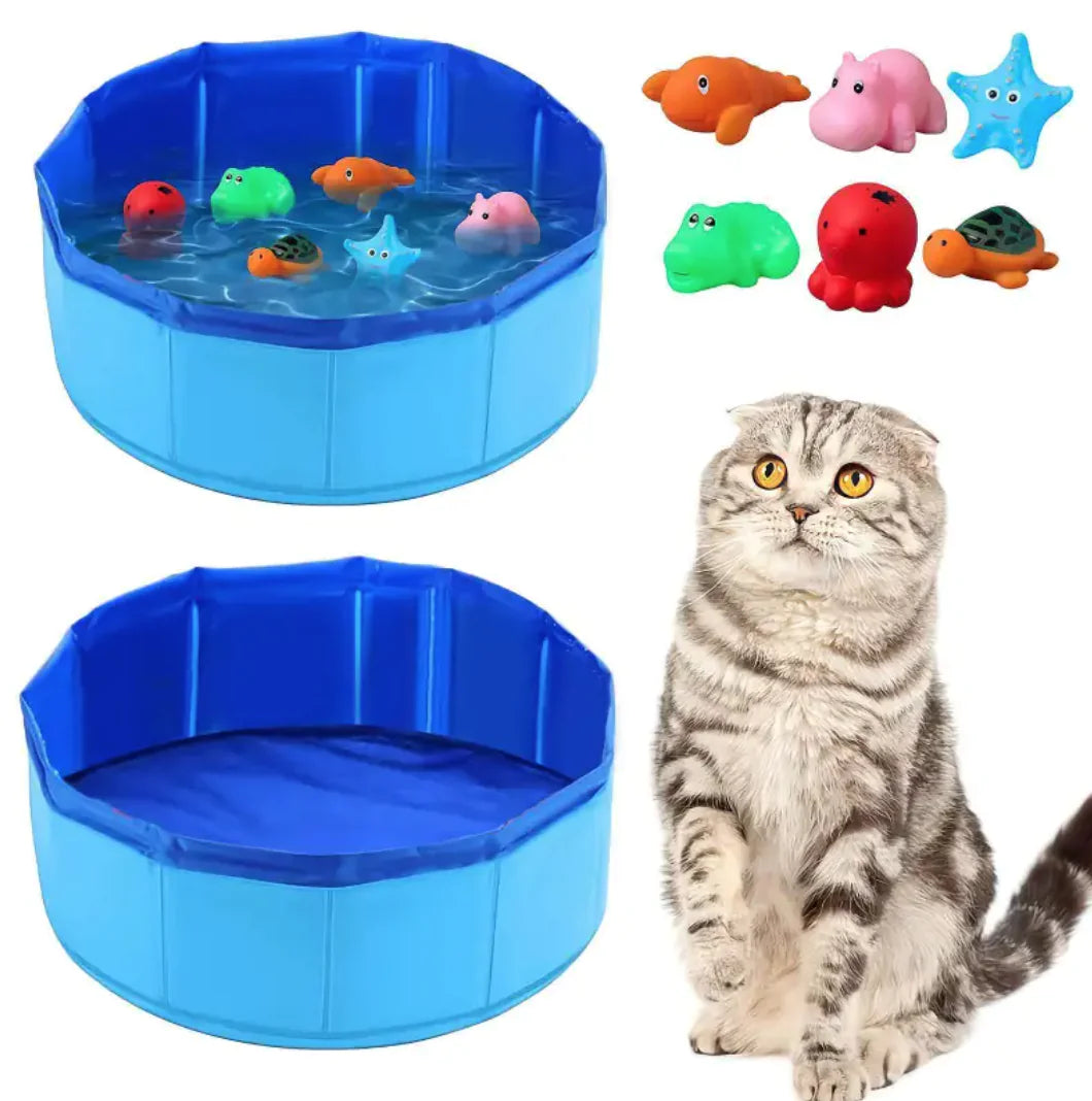 Pet pool with floating toys and a cat looking at them