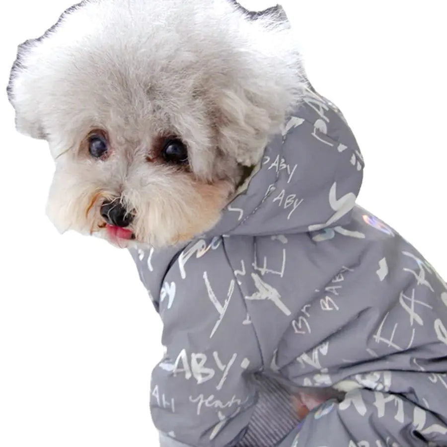 Small dog wearing a gray raincoat with white patterns on a white background