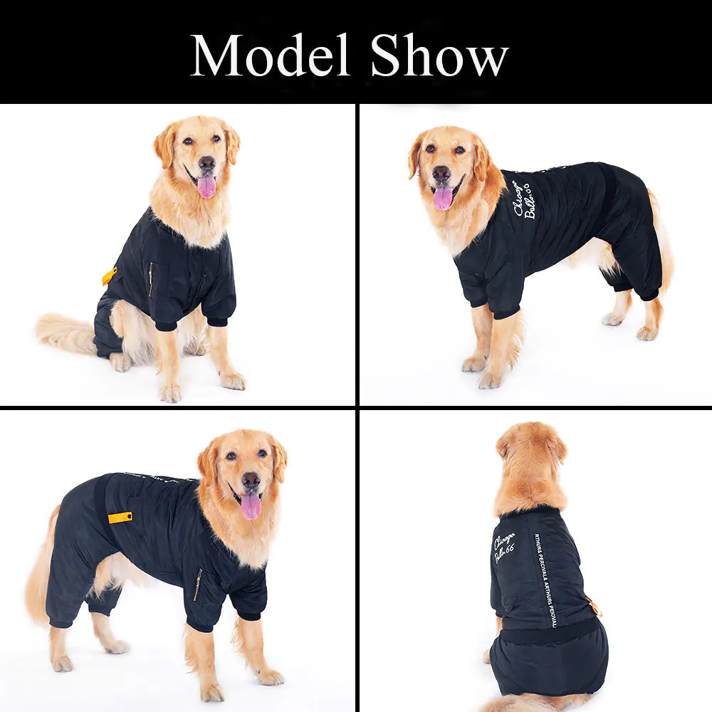 Dog Apparel for Small Breeds - Autumn/Winter Outfit