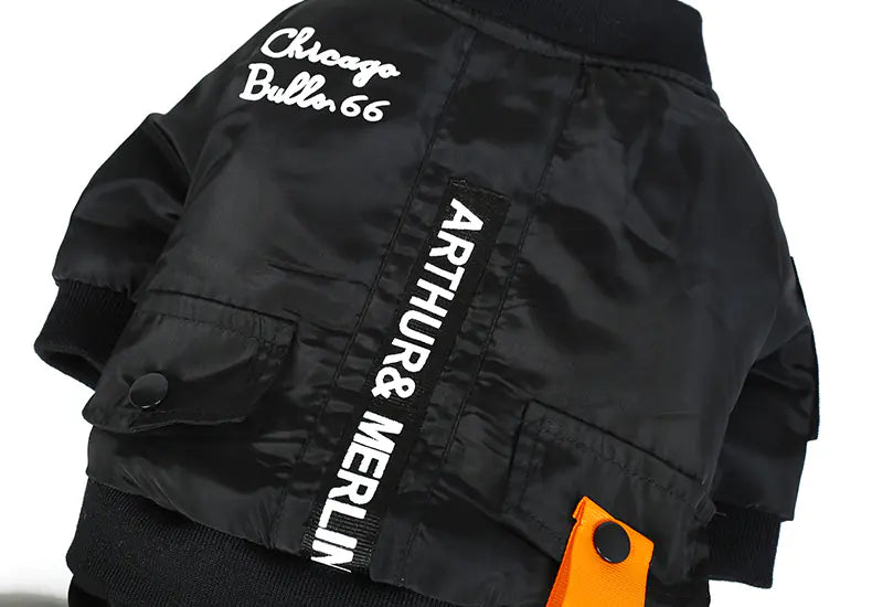 Dog Apparel for Small Breeds - Autumn/Winter Outfit