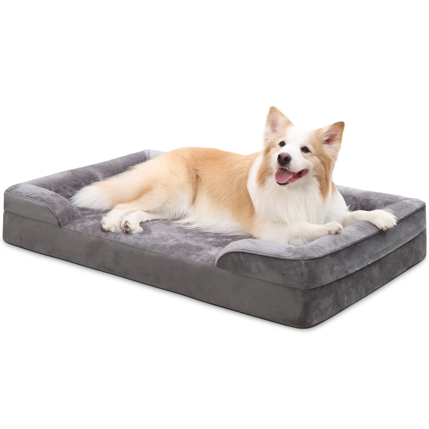 Dog lying on a gray pet bed with a white background