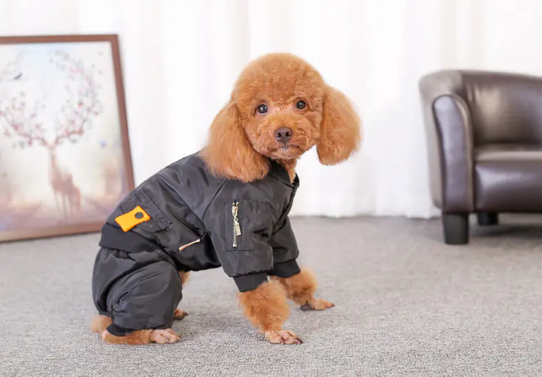 Dog Apparel for Small Breeds - Autumn/Winter Outfit