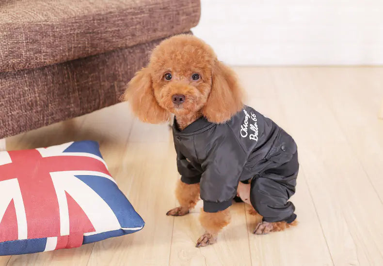 Dog Apparel for Small Breeds - Autumn/Winter Outfit