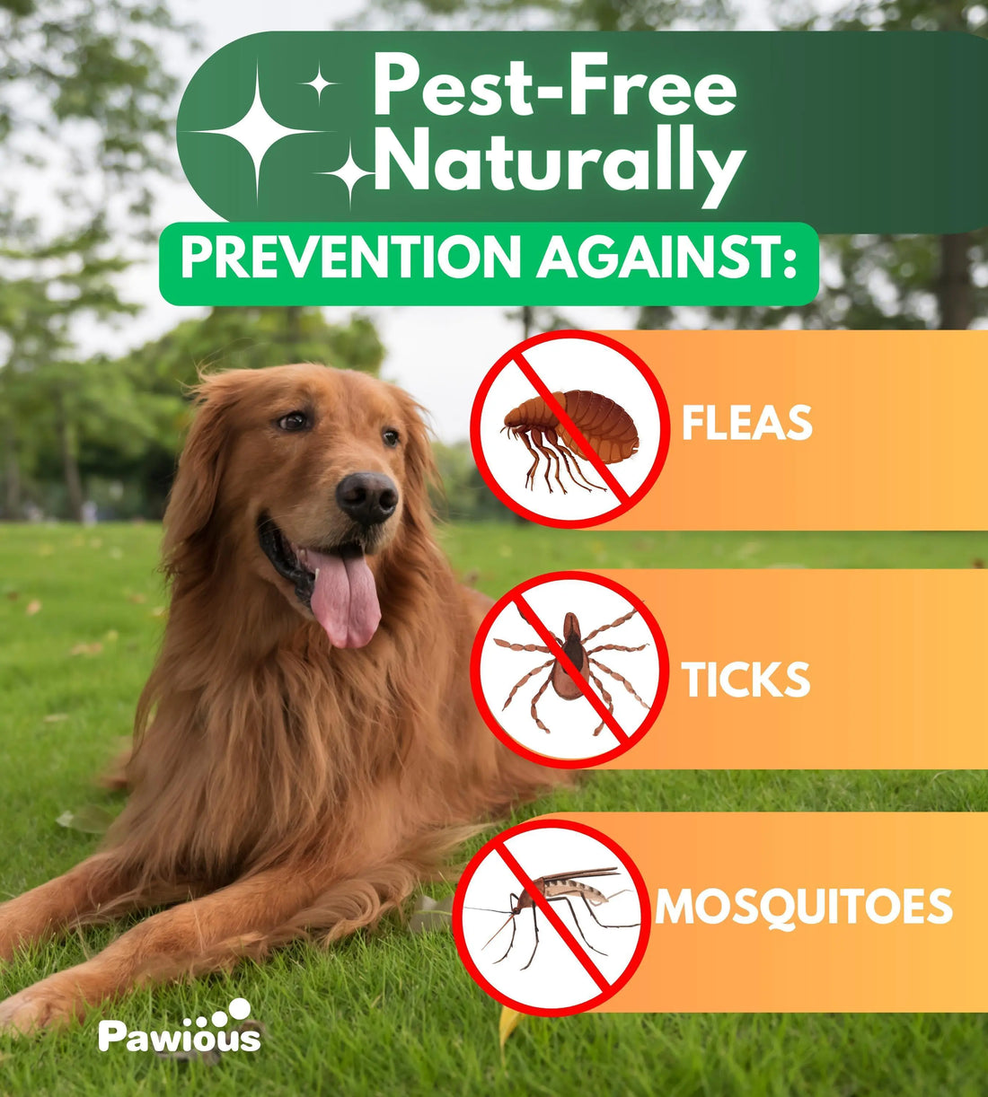 Pawious flea and tick prevention chews for dogs with a green and orange label and a dog on it.