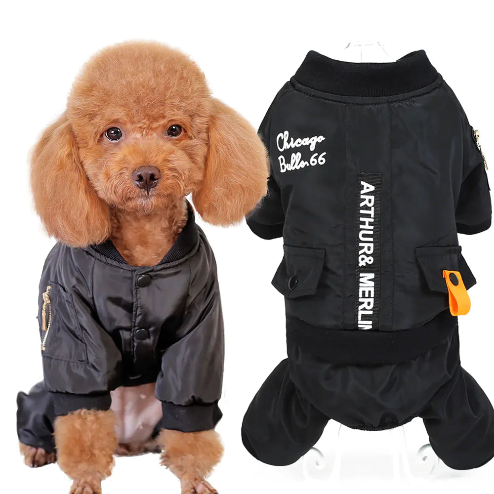 Dog Apparel for Small Breeds - Autumn/Winter Outfit
